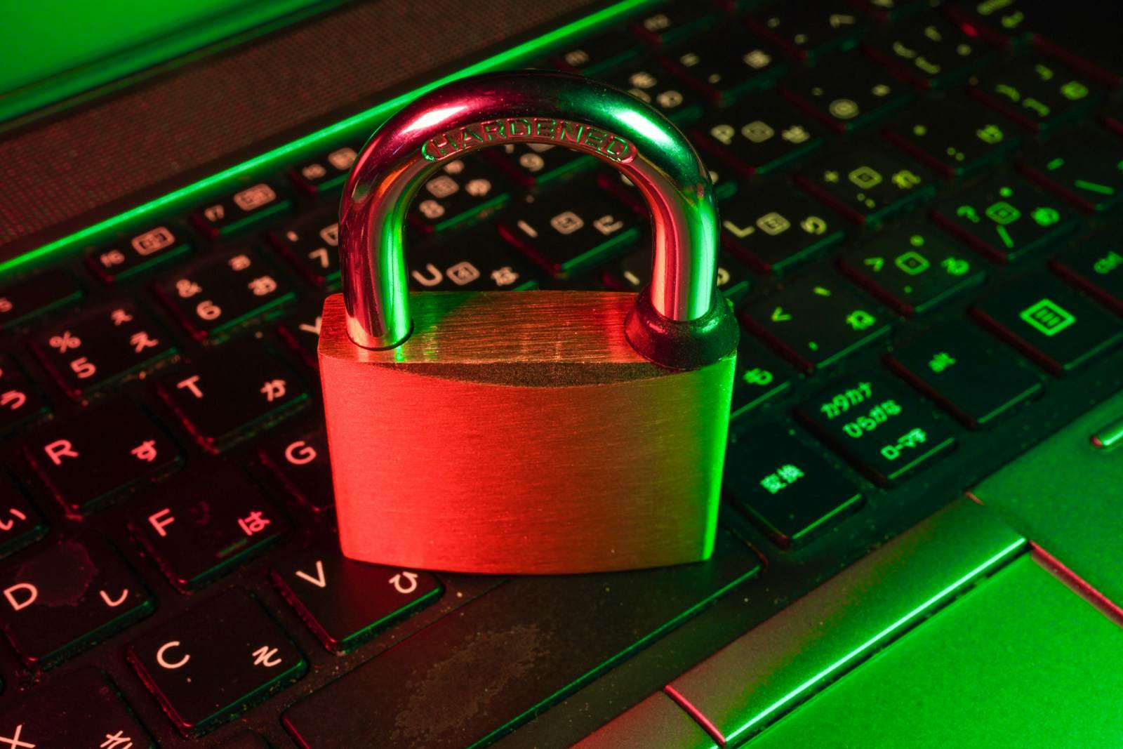 WordPress website security